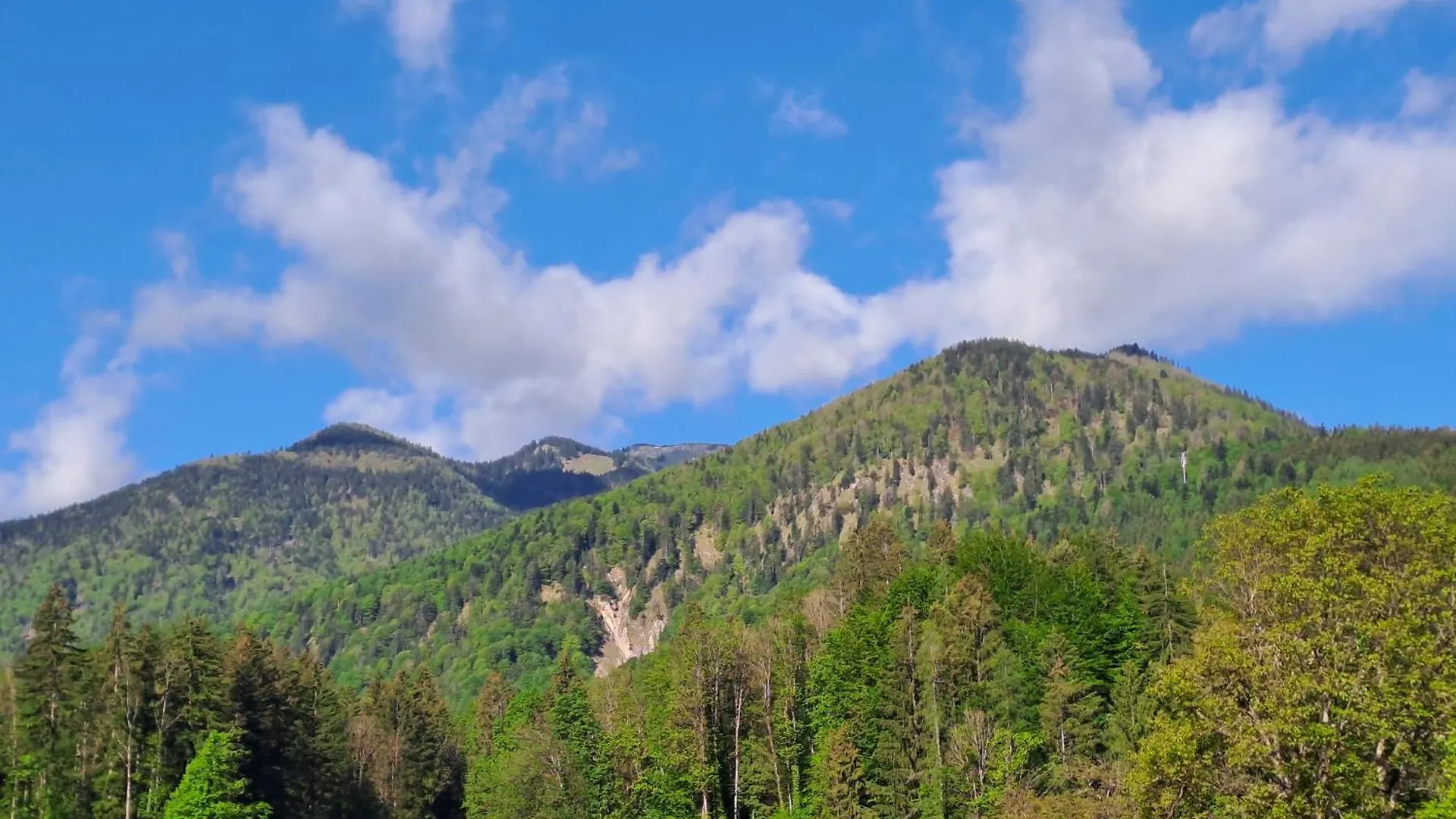 Hotel WuhrsteinHaus Schleching Gasthof